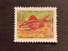 SRI LANKA 1990 ENDEMIC FISH 20.00 CHERRY BARB - FINE  USED 20R