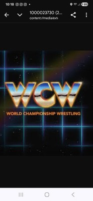 Wc*w House show 8/30/92 Jake/Sting Dragon/Austin Steiners Koloff Slater Vader Ru