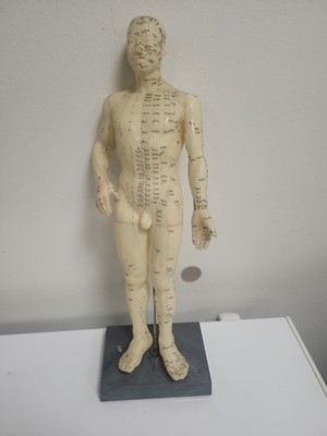 Male Acupuncture Model  20inches standing on  with gray plastic Stand used