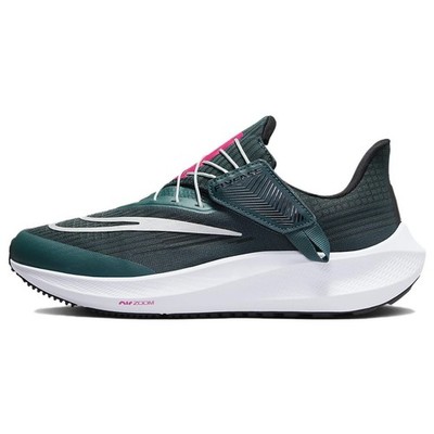 Nike Pegasus FlyEase DJ7383-301