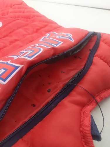 MLB Baseball Angels Backpack Catcher Chest Promo Bag Youth Los Angeles Anaheim - Picture 7 of 7