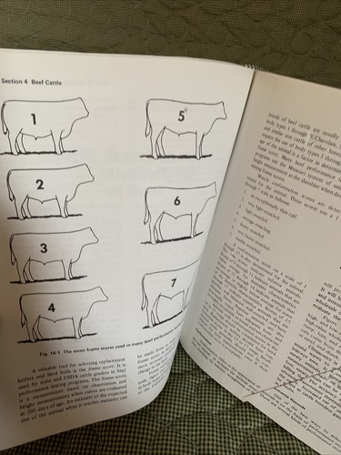 Modern Livestock And Poultry Production Fourth Edition Book By James Gilespie - Imagen 4 de 10
