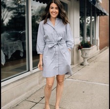 Everlane Blue Striped Cotton Weave Collarless Shirt Belt Midi Dress, size 2