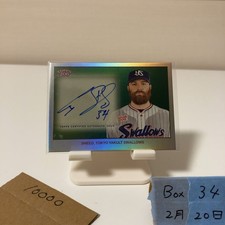 2024 Ps 206 Npb Cy Sneed 5/7 Autograph Card Tokyo Yakult Swallows Lucky Cat Para