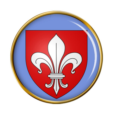 Pin's Badge Lille France - Métal & Résine - Fermoir Papillon - 23mm - Doré - Souvenir Collecteur
