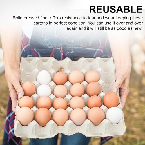 Multipurpose Egg Flats in Biodegradable Pulp Fiber - 15 Pack for Home & Hobby - Picture 10 of 11