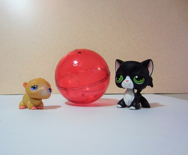Littlest Pet Shop 54 Hamster 55 Black Tuxedo Cat For Sale Online