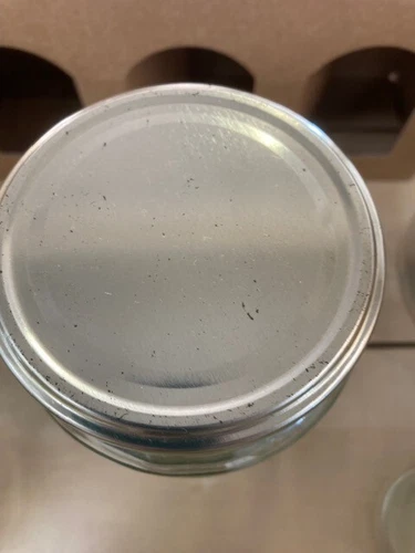 New pack of 12 jam jar lids 82mm twist on off  replacement