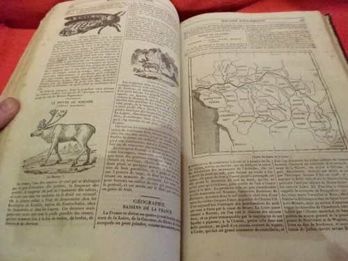 COLLECTIF - Le Magasin pittoresque - Tome I. - 1833. - Picture 12 of 12