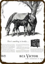 1945 RCA VICTOR Kentucky Derby Horse Foal VntgLook DECORATIVE REPLICA METAL SIGN