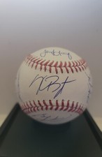 Chicago Cubs 2016 MLB World Series Champions Team Signed Baseball LE 36