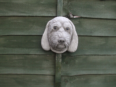 STEIN CAVAPOO HUND HUNDE KOPF WAND GARTENPLAKETTE SKULPTUR