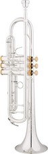 Eastman ETR524GS Bb Trumpet Silver Plated With Gold Trim Kit