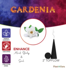 200 Jumbo Charcoal Incense Cones 2" TOPFLOW Bulk For Burner Holder Variety Lot