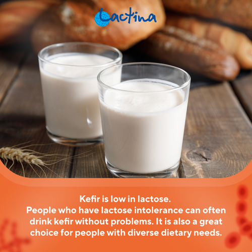 Bulgarischer Kefir Starter 1 BOX - 10 BEUTEL - 10 L OFFIZIELLER LACTINA VERTRETER - Bild 11 von 13