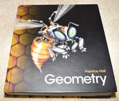 GEOMETRY PRENTICE HALL ''PEARSON'' TEXTBOOK CHAPTERS 1-12 $135