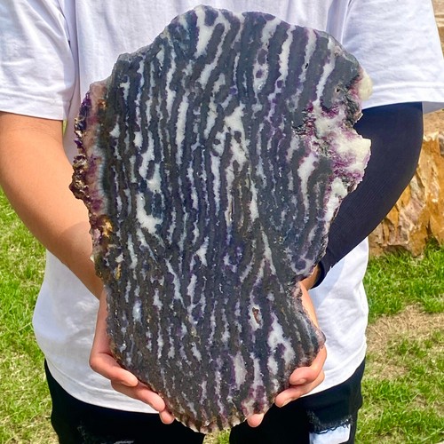 5.45LB Natural Zebra Stonecombine with purple Fluorite Flaky Slice quartz crysta - 第 8/12 張圖片