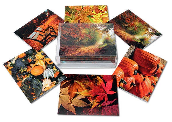 Tarjetas de notas escenas de otoño - en blanco por dentro con sobres - 5,5"x4,25"-12 o 24 paquetes Foto 2 de 4