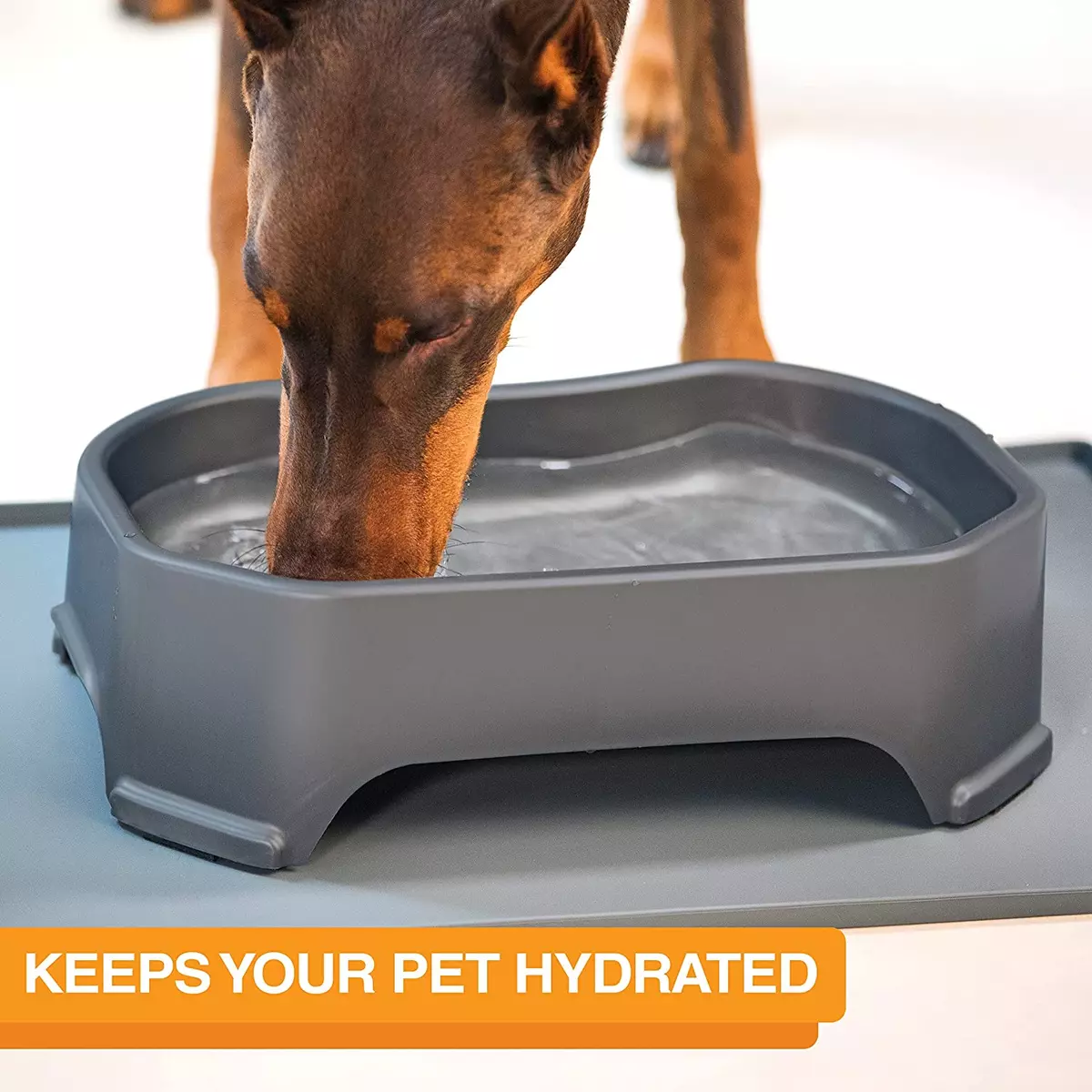 Big Bowl - Extra Large Water Bowl for Dogs (1.25 Gallon Capacity