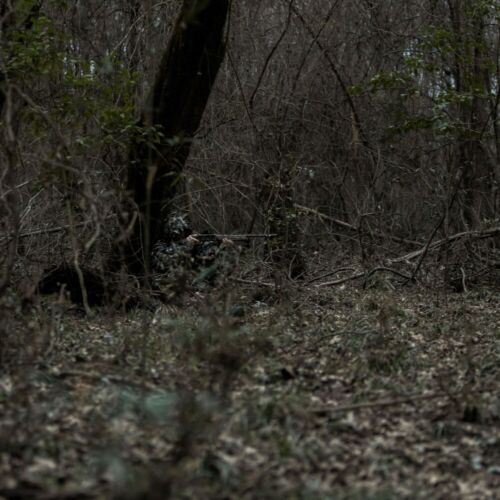 Arcturus 3D Leaf Ghillie Suit (Dark Woodland) - Hunting Jacket & Pants Set - Picture 7 of 10