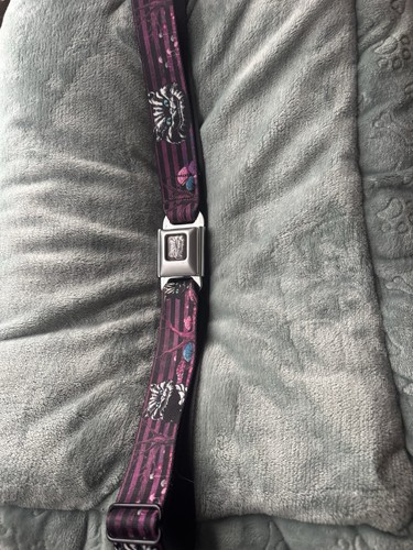 Buckle Down Belt