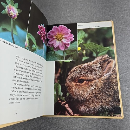 More Than Just a Flower Garden by Dwight Kuhn ~ 1990 Vintage Hardcover Book - Bild 6 von 9