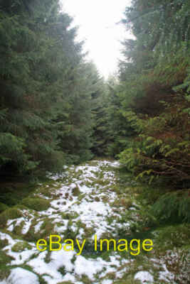 Photo 6x4 Buckside Knowe Kielder Ride above Berkey Sike near Buckside Kno c2008