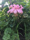 Bild 7 von 8
