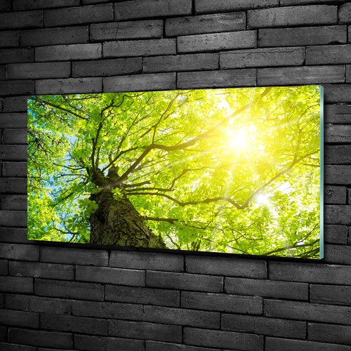 Tableau Décoratif Sur Verre Trempé Tulup – Image Pomme Verte 100x50 Cm – Moderne Neuf
