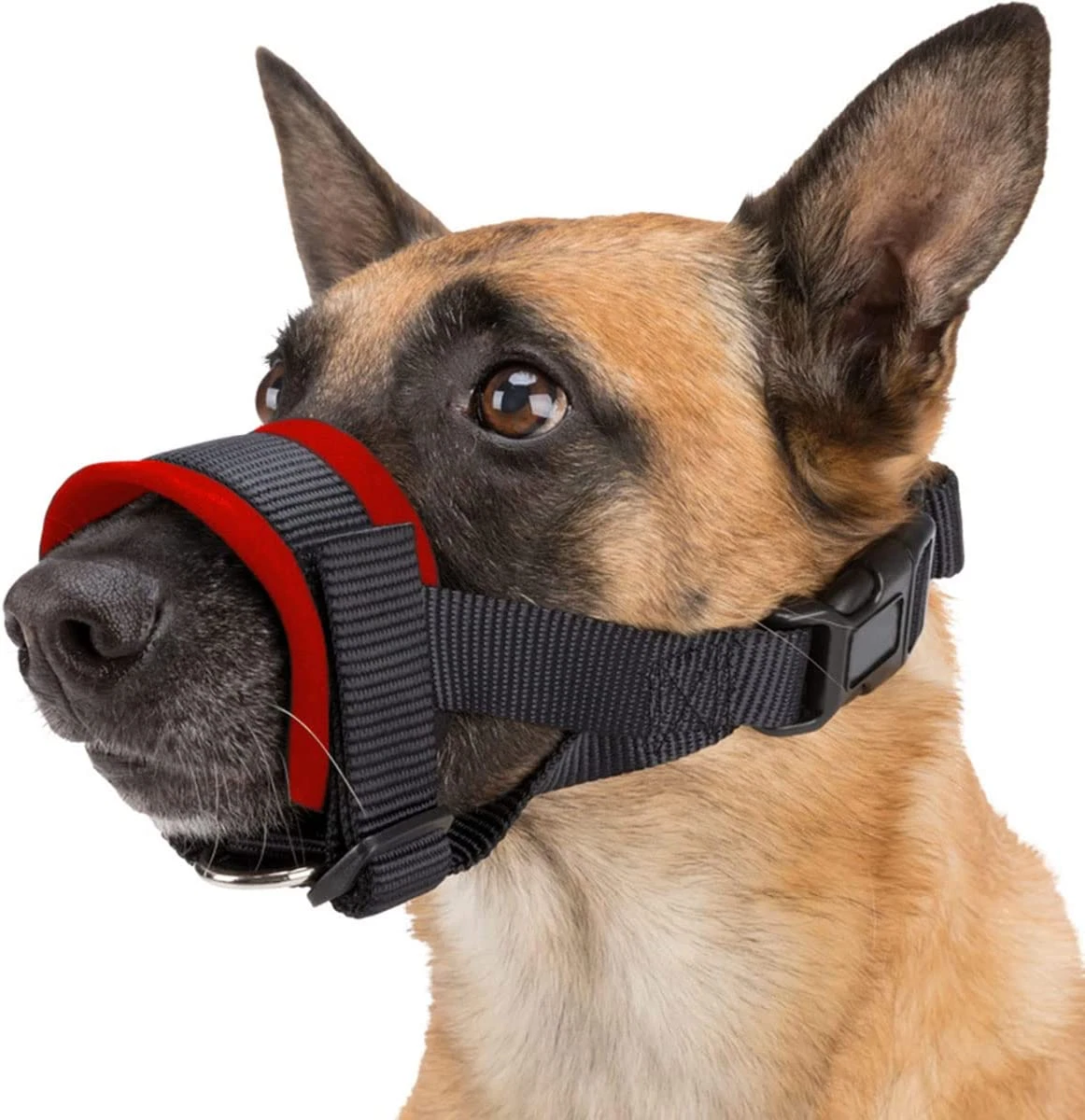 Padded on sale dog muzzle