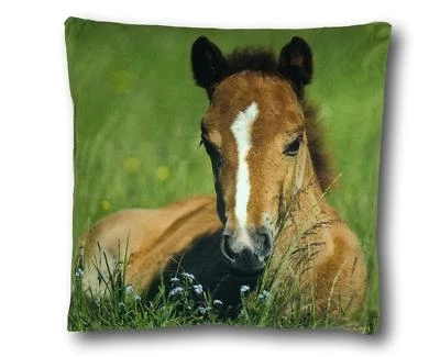Kissen Dekokissen Zierkissen Tiermotiv Fotodruck Katze Hund Hase Pferd 40x40cm - Bild 1 von 4