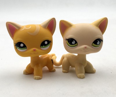 lps walking cat