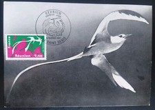 Carte Maximum Premier Jour Timbre Réunion N° 1915 Oblitéré Saint Denis 1977