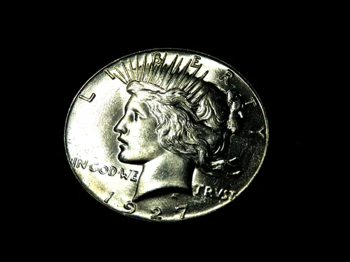 Choice Brilliant Uncirculated Better Date 1927-P Peace Silver Dollar B17