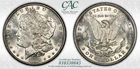 1889 MORGAN SILVER DOLLAR CACG MS63 BRIGHT WHITE COIN