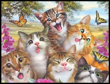 Greeting Card - Cat Kitten - Howard Robinson - Any Occasion - 0270