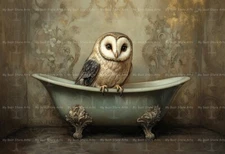 BARN OWL BATHTUB ART PRINT, Bird Cottagecore Home Decor, Bathroom Poster E778