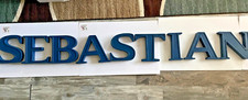 Pottery Barn 10 inch tall Wood Wall Hanging Letters Kids Decor Blue SEBASTIAN