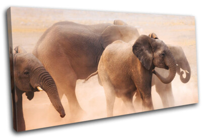 Baby Elephant Wild African Zoo Animals SINGLE Leinwand Kunst Bild drucken