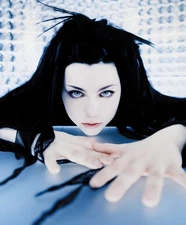 A3 Evanescence Band Amy lee 2003 Poster Fallen Era Clear HD Photography