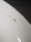 Picture 16 of 18