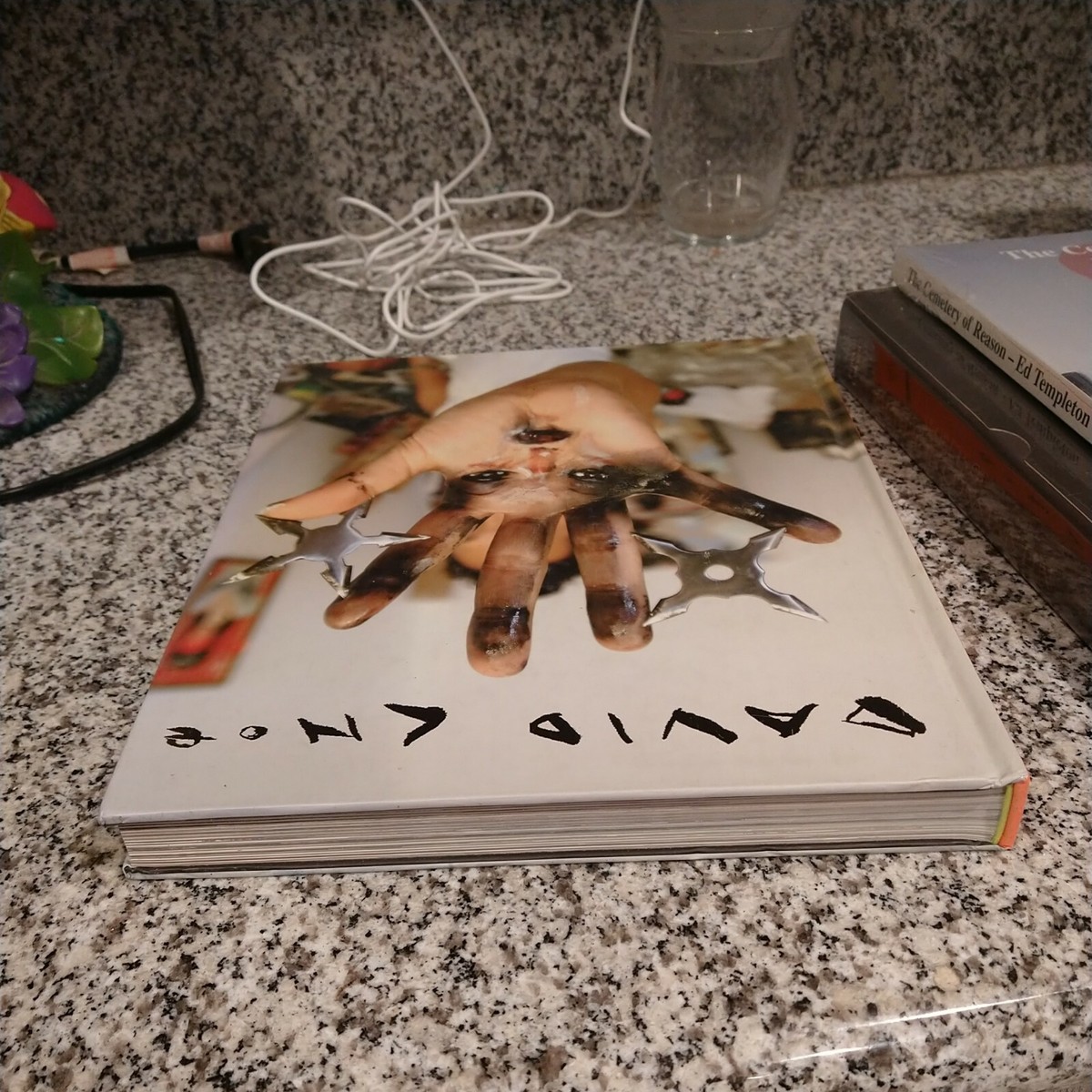 JUXTAPOZ DAVID CHOE 特集2冊 2010/2013