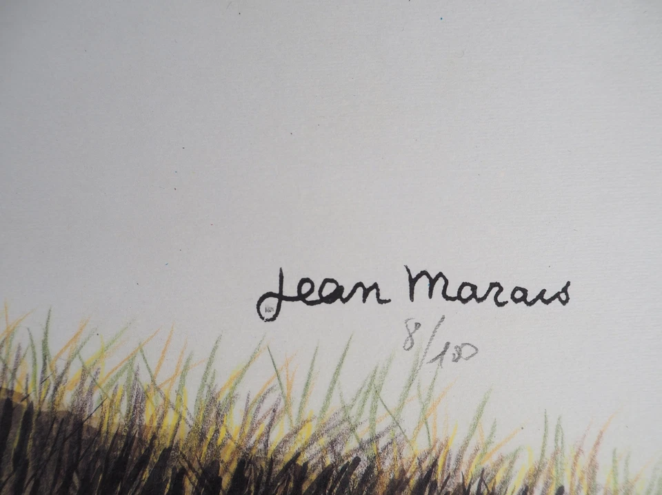 Jean MARAIS : L'Olivier de Saint Jean Cap Ferrat, Lithographie signée - Photo 2/4