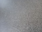 Bild 8 von 9