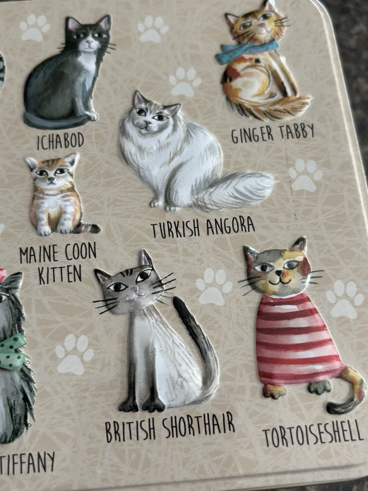 Cat Lover Tin Can, Cat Breeds Storage Container Embossed Cats in Jumpers Tin - Image 4 of 4