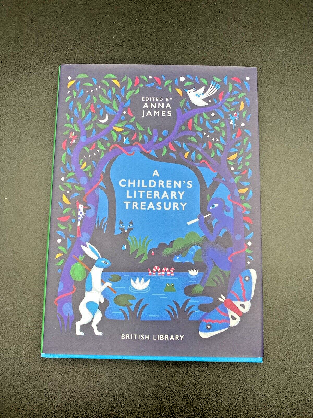 A Children’s Literary Treasury Hardback Book Edited By Anna James