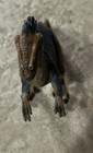 Foto 6 di 8
