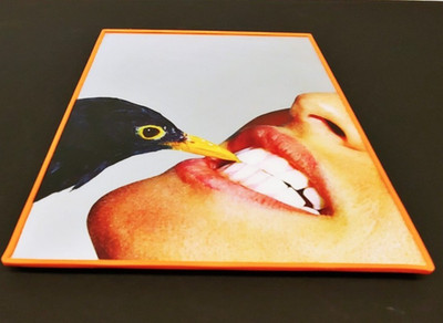 Seletti / Toilet Paper - Maurizio Cattelan - Crow Teeth SilkScreen Mirror Art