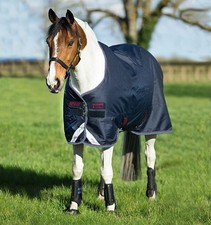Amigo Bravo 12 Medium Turnout with Leg Arches...