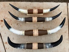 MOUNTED STEER HORNS (ONE ONLY) 29" to 34" inch wide LONGHORN POLISHED BULL COW